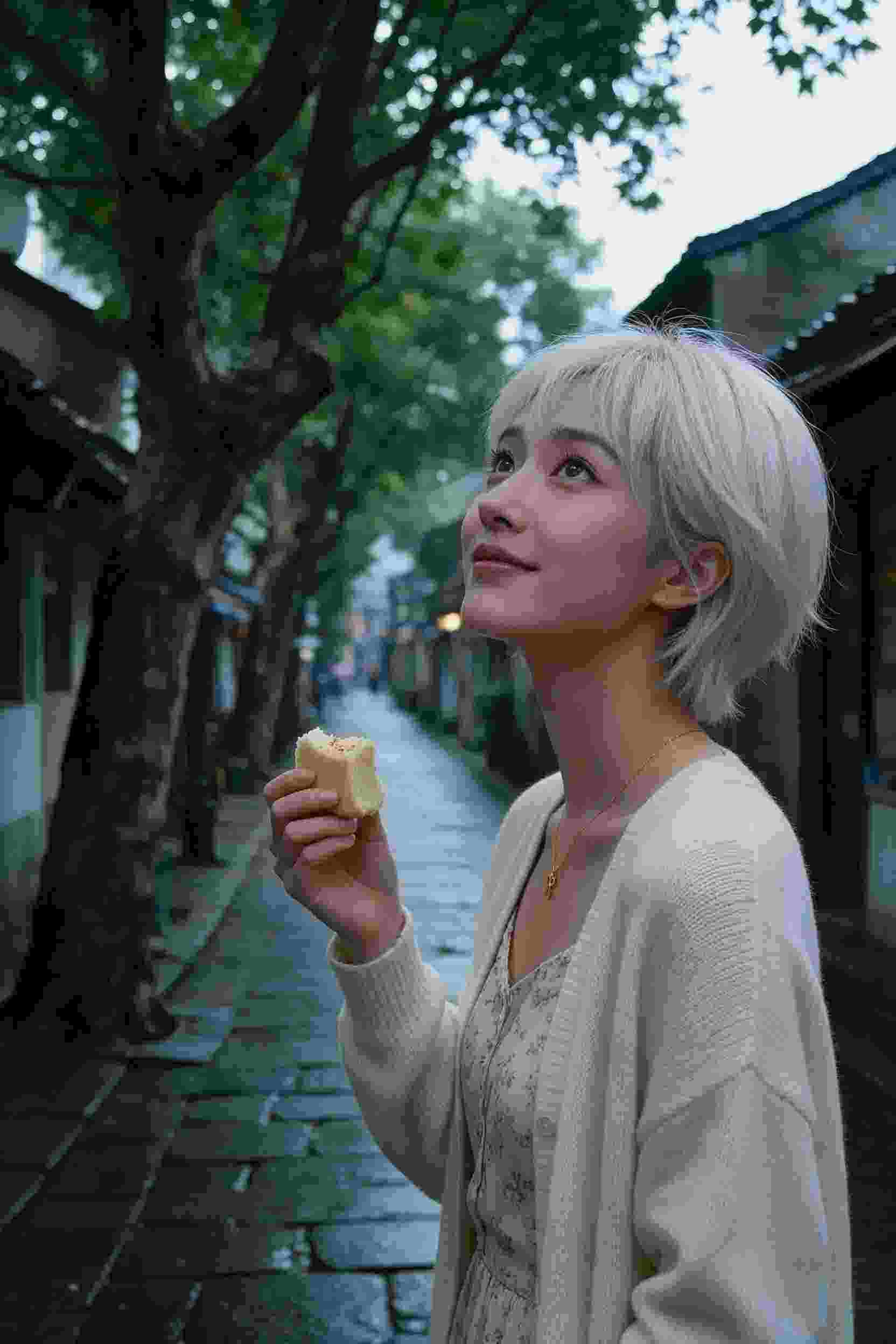 仙踪云路