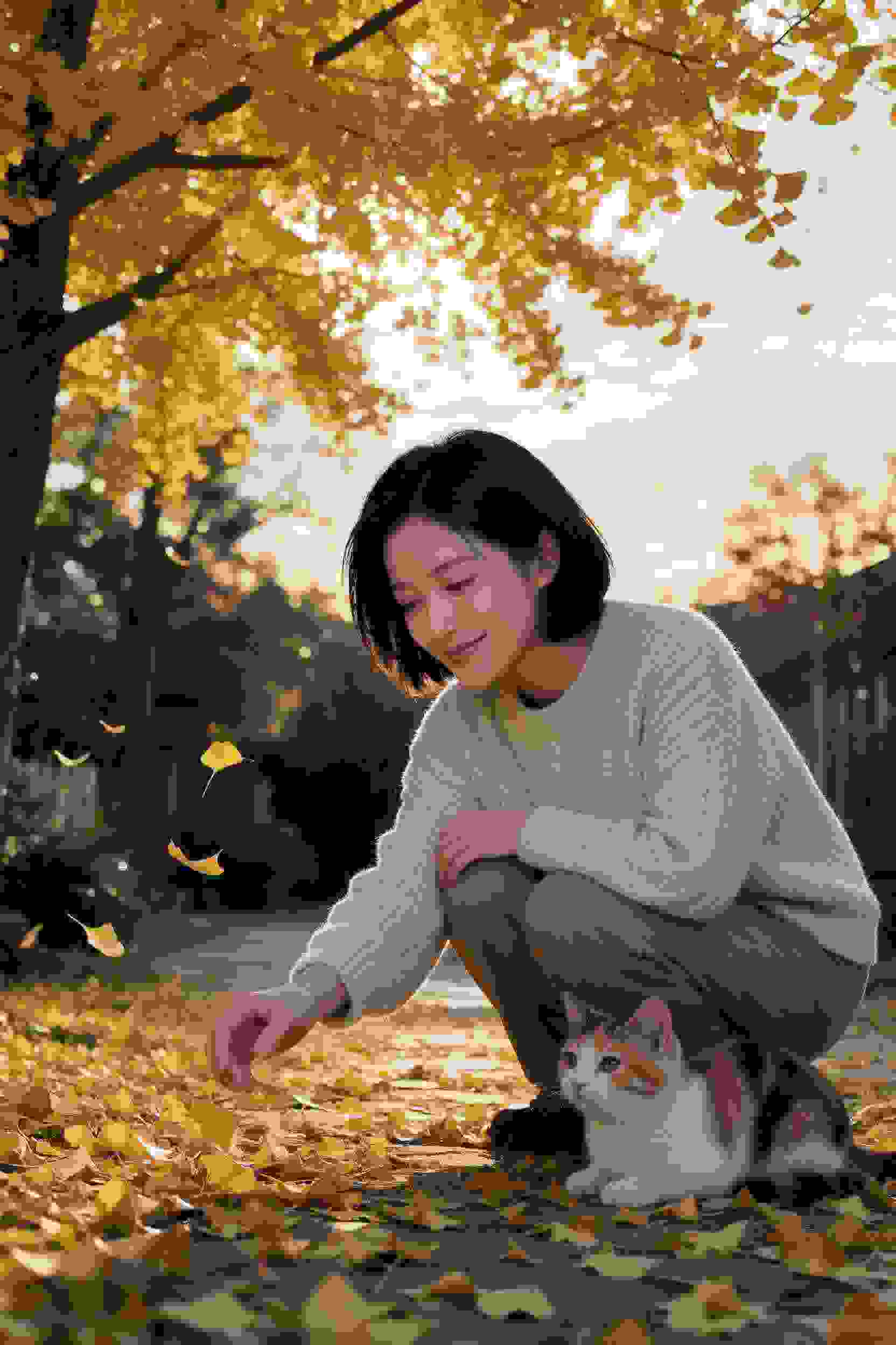 放学后秘密